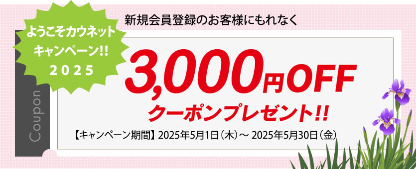 「3,000OFF」ポイントクーポンプレゼント