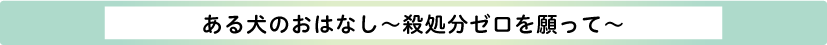 おもしろい・検索ワード