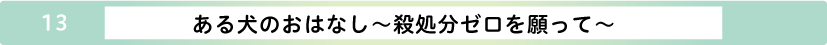 ある犬のおはなし～殺処分ゼロを願って～