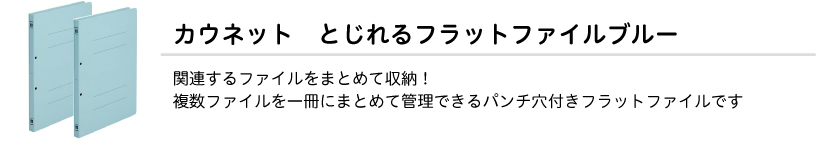 とじれるフラットファイルブルー